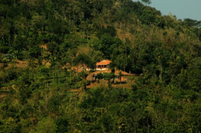 Отель Verdant Vagamon Cottage  Идукки 